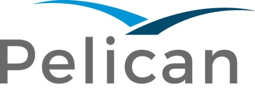 ACE Software Solutions rebrands to Pelican
